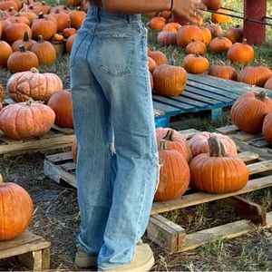 Levi’s Low Loose Jeans with Knee Rip